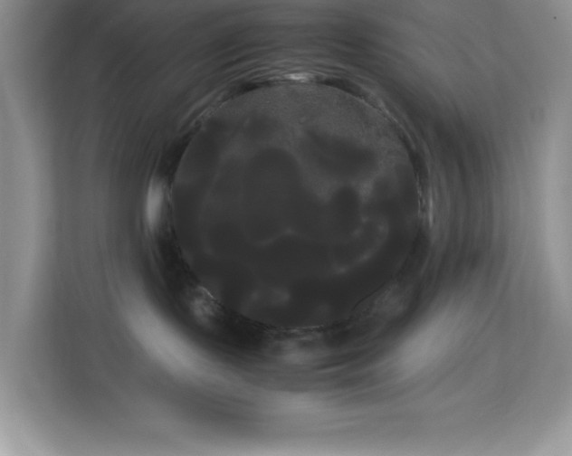 X0000114190095200910091241