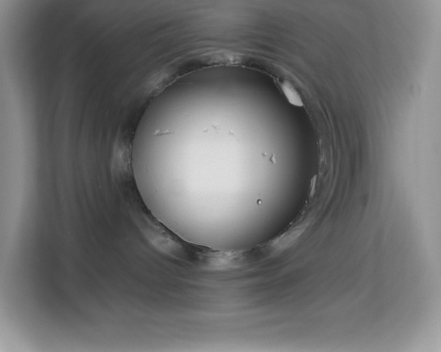 X0000114190096200910091241