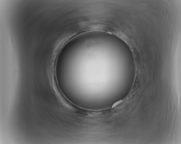 X0000114190097200910091240