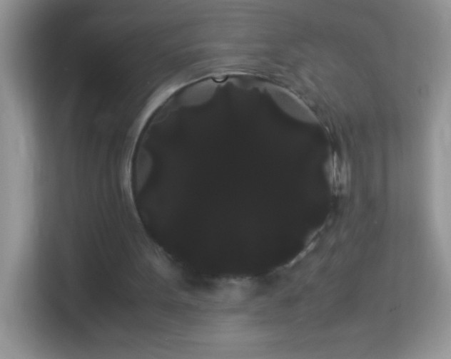 X0000114190099200910091240