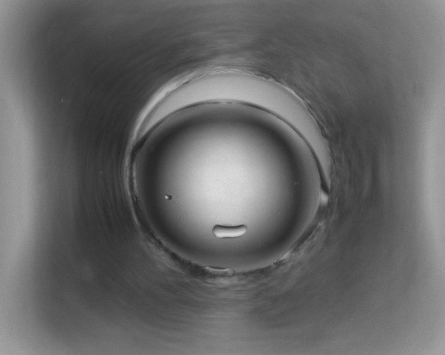 X0000114190100200910091240