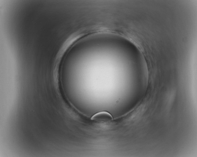 X0000114190103200910091240