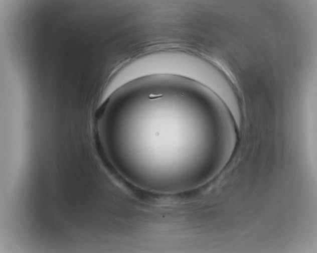 X0000114190105200910091240
