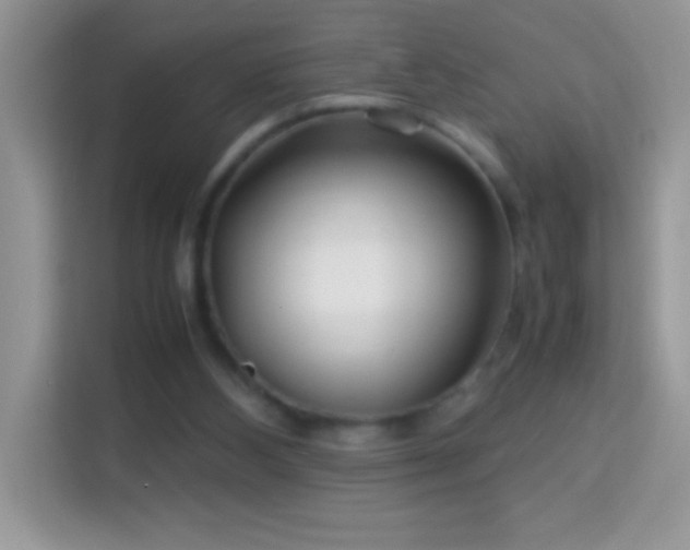 X0000114190108200910091240
