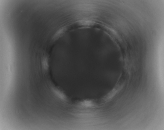 X0000114190114200910091240