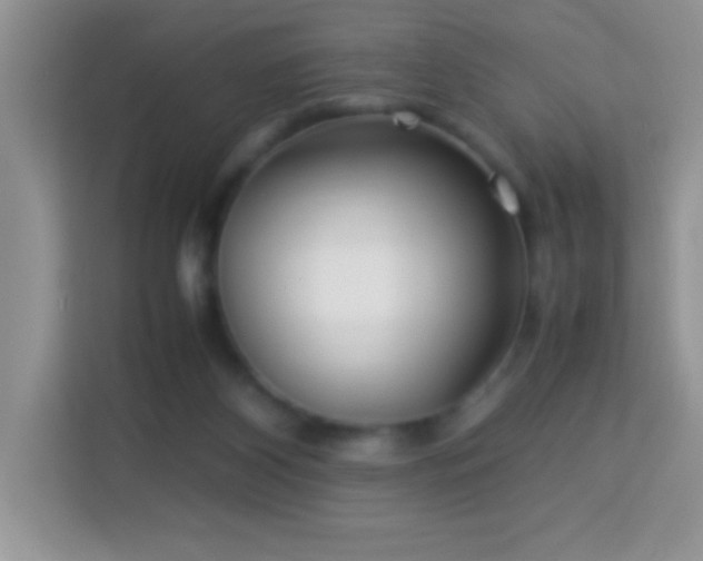 X0000114190116200910091240