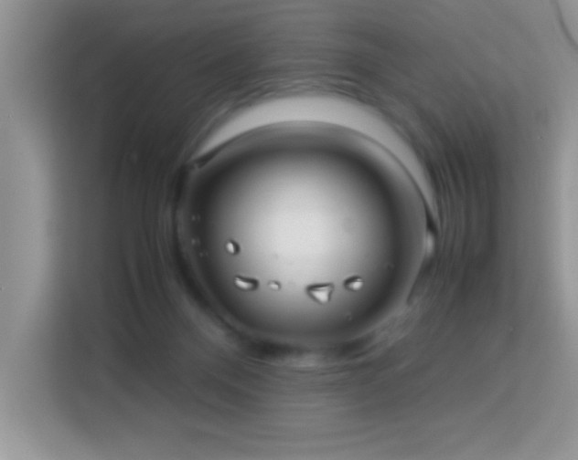 X0000114190120200910091240