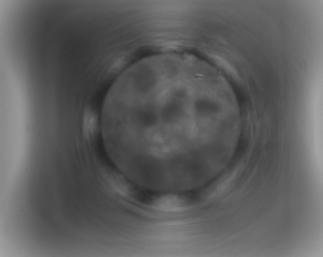X0000114190123200910091240