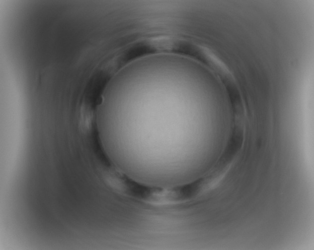 X0000114190125200910091240
