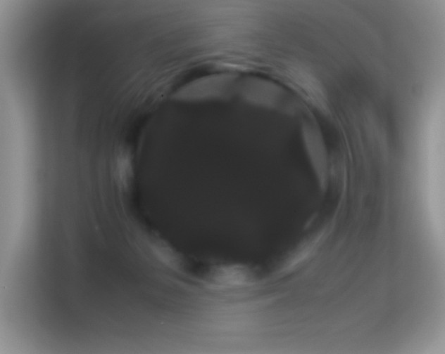 X0000114190127200910091240