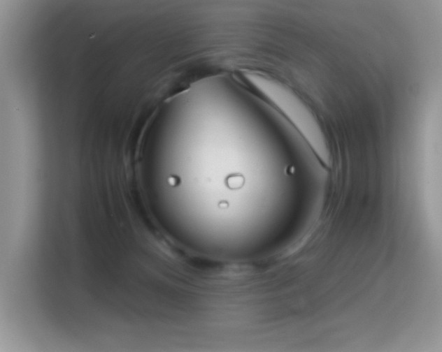 X0000114190128200910091240