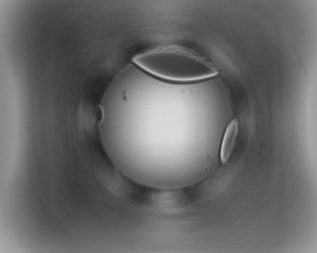 X0000114190129200910091240