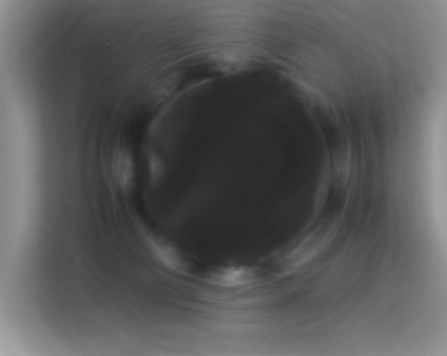 X0000114190130200910091240