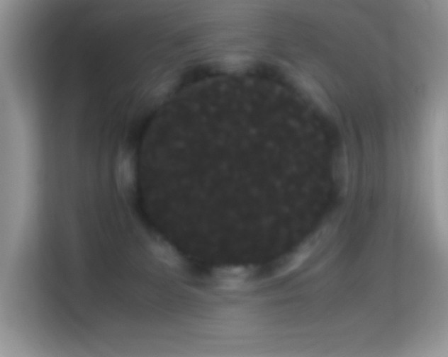X0000114190131200910091240