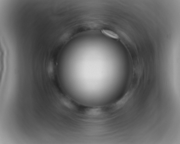 X0000114190132200910091240
