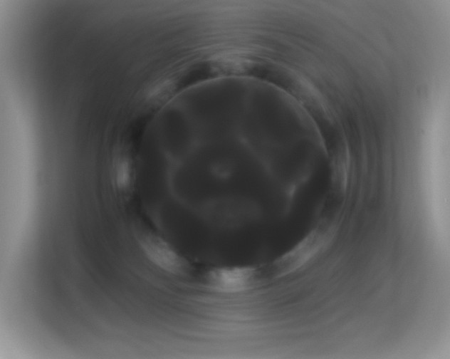 X0000114190134200910091240