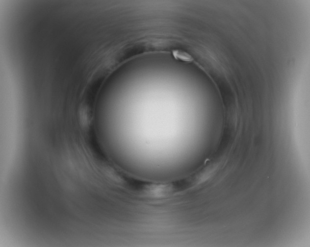 X0000114190135200910091240