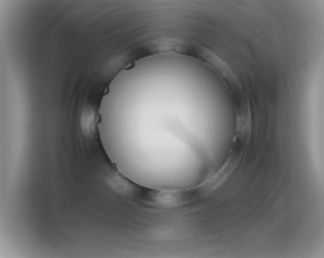 X0000114190142200910091240