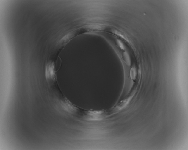 X0000114190143200910091240