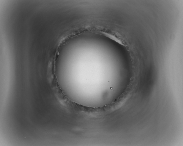 X0000114190144200910091240