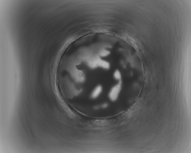 X0000114190145200910091239