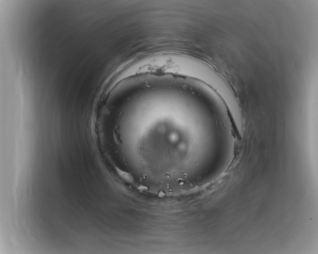 X0000114190146200910091239