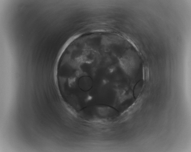 X0000114190147200910091239