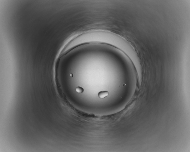 X0000114190148200910091239