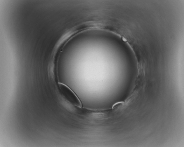 X0000114190150200910091239
