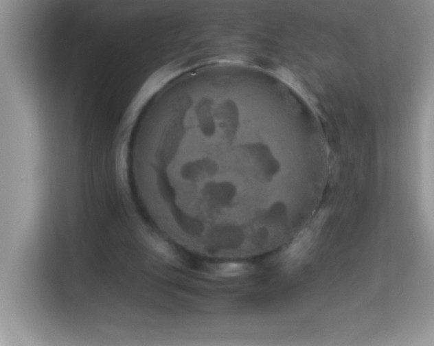 X0000114190151200910091239