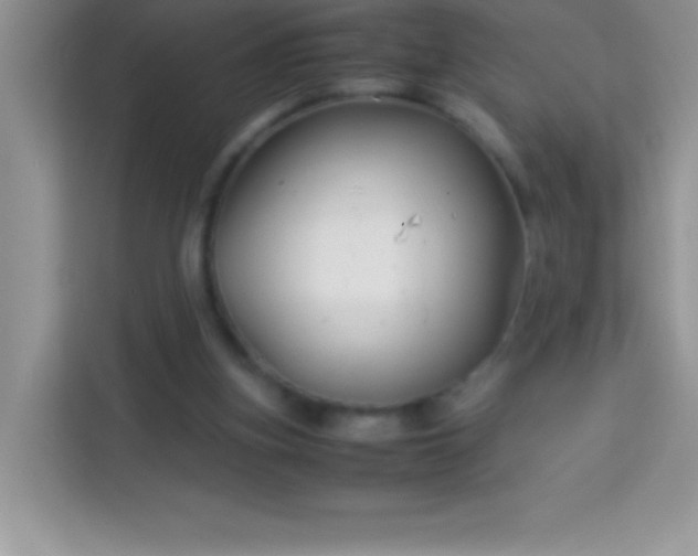 X0000114190155200910091239