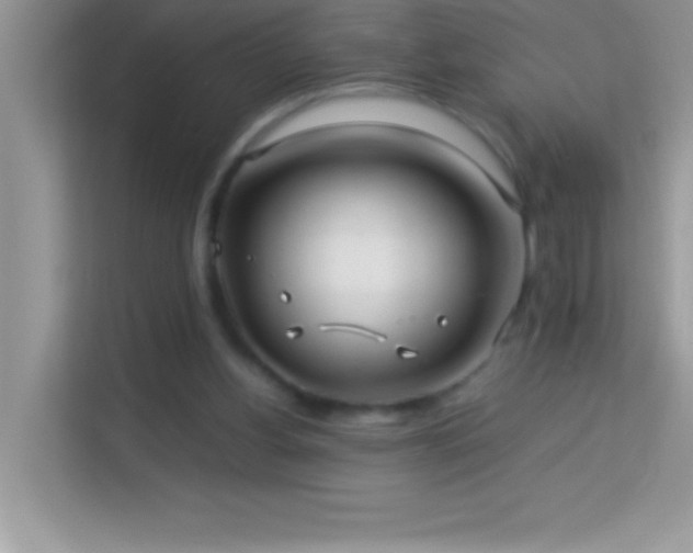 X0000114190156200910091239