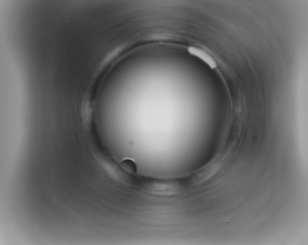 X0000114190160200910091239