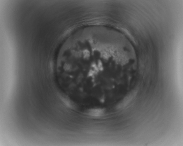 X0000114190161200910091239