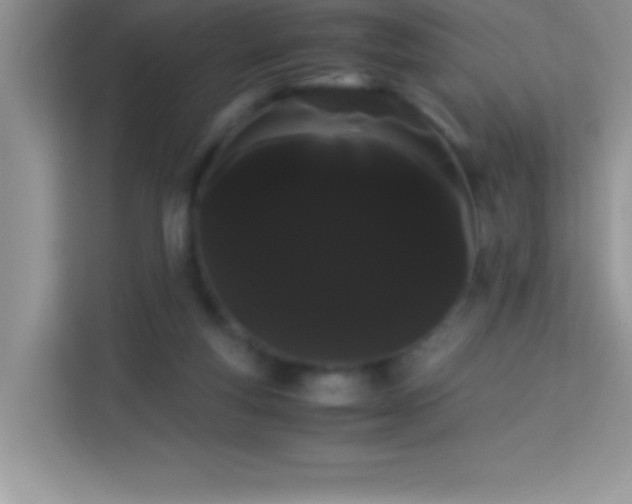 X0000114190163200910091239