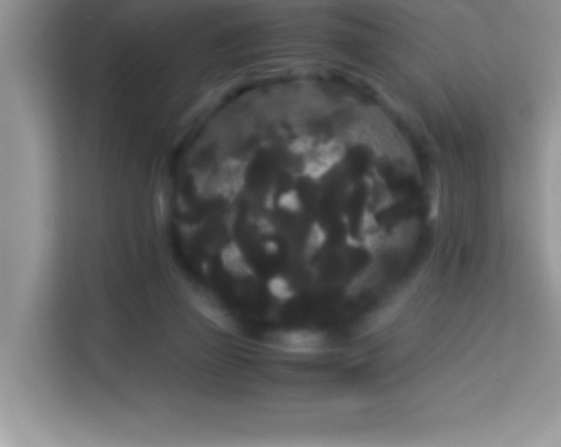 X0000114190165200910091239