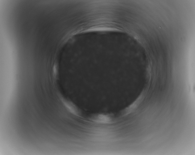 X0000114190166200910091239