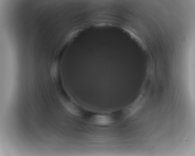 X0000114190167200910091239