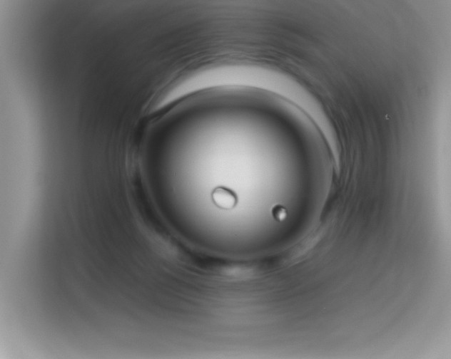 X0000114190168200910091239