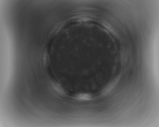 X0000114190169200910091239