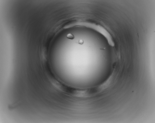 X0000114190170200910091239