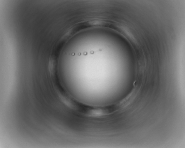 X0000114190171200910091239