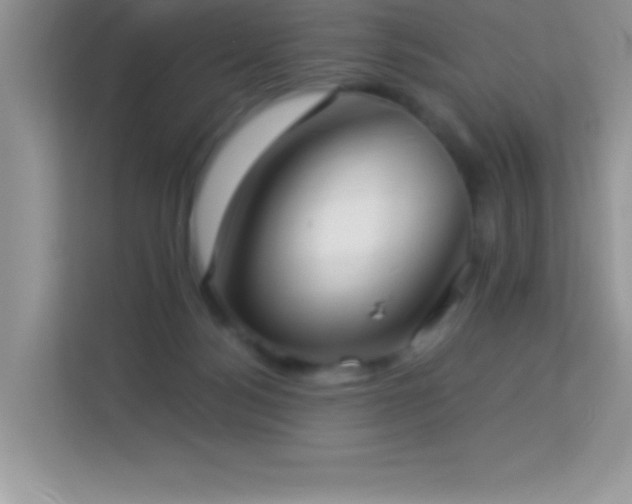 X0000114190172200910091240