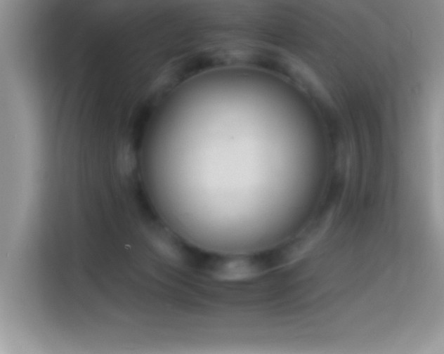 X0000114190173200910091240