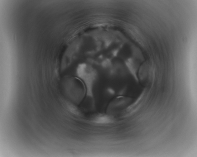 X0000114190175200910091240