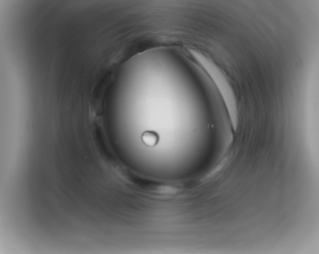 X0000114190176200910091240