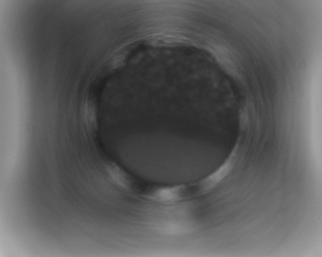 X0000114190178200910091240