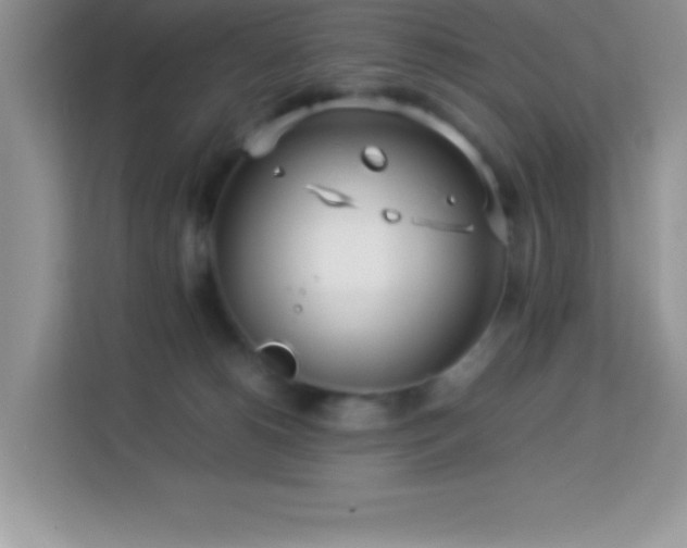 X0000114190180200910091240