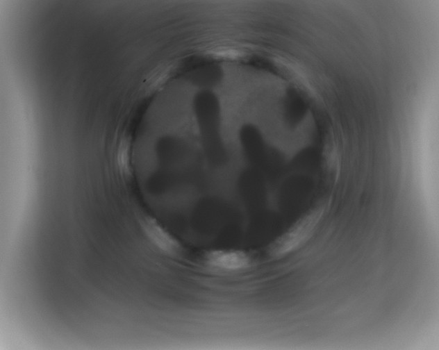 X0000114190185200910091240