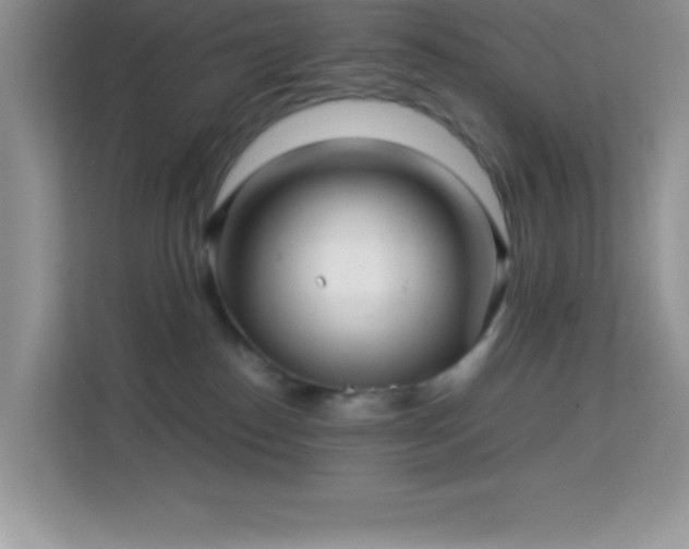 X0000114190186200910091240